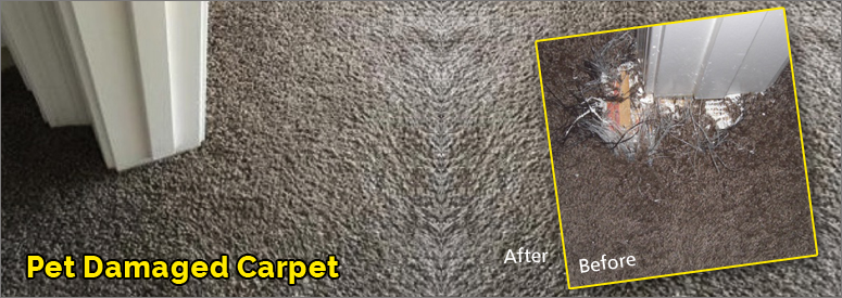 Pet Damaged Carpet Malibu