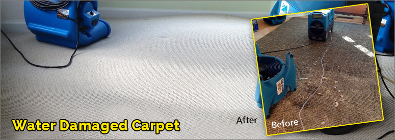 Water Damage Carpet Malibu